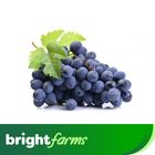 brightfarms Black Grapes Kala Angoor 500g