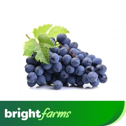 brightfarms Black Grapes Kala Angoor 500g