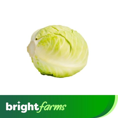 brightfarms Cabbage Green -Bund Gobi (Pakistan) (500g-600g)