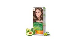 Garnier Hair Colour 6 Dark Blonde 1 Box