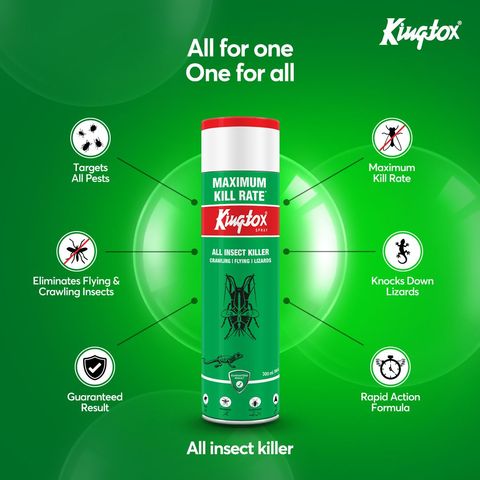 Kingtox All Insect Killer Spray 300ml