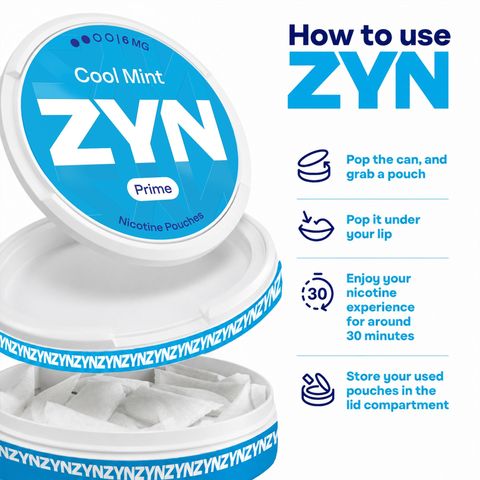 ZYN Cool Mint 16.5mg (6 Dot) Max Nicotine Pouches 1 Can