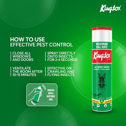 Kingtox All Insect Killer Spray 600ml