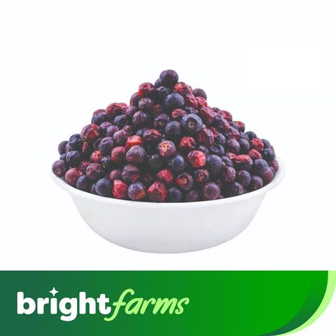 brightfarms Black Currant Falsa (Sindh) 500g 