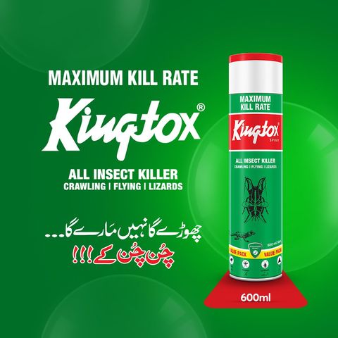 Kingtox All Insect Killer Spray 600ml