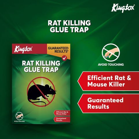 Kingtox Rat Killing Glue Trap