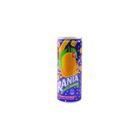 RANIA MANGO CAN 250ML (Imported)