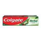 Colgate Herbal Toothpaste 200g