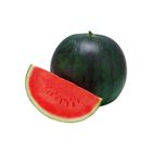 Watermelon (Tarbooz) 1 Piece 3 - 4kg