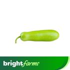 brightfarms Bottle Gourd Long - Lambi Lauki (Pakistan) 500g