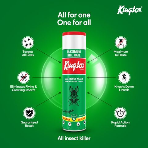 Kingtox All Insect Killer Spray 600ml