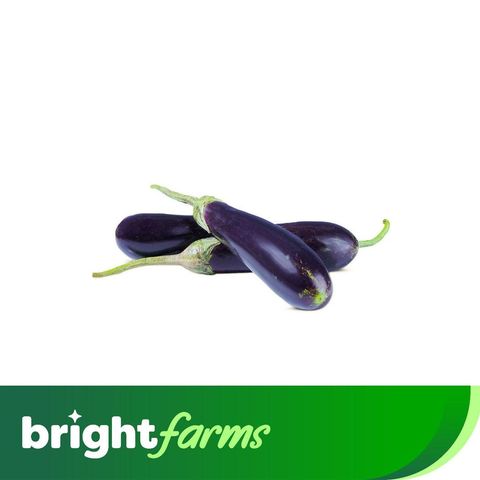 brightfarms Brinjal Long -Lambi Baingan (Pakistan) 500g