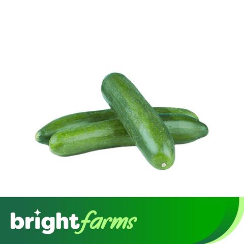 brightfarms Cucumber -Kheera (Pakistan) 1kg