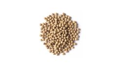 White Pepper Whole 20g