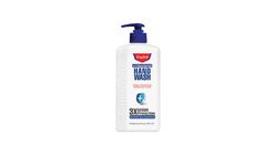 English Antibacterial Handwash Bottle With Pump 250ml