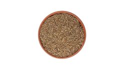 White Cumin Seeds (Zeera White)  250g