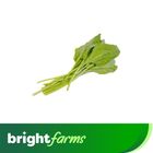 brightfarms Spinach -Palak (Pakistan) 500g