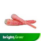 brightfarms Carrot Red (Pakistan) 1kg