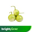 brightfarms Bottle Gourd Round - Gol Lauki (Pakistan) 500g