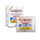 Calcee Plus 1 Sachet