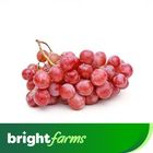 brightfarms Toffee Grapes (Baluchistan) 500g