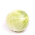 Cabbage White 1 kg - 20104