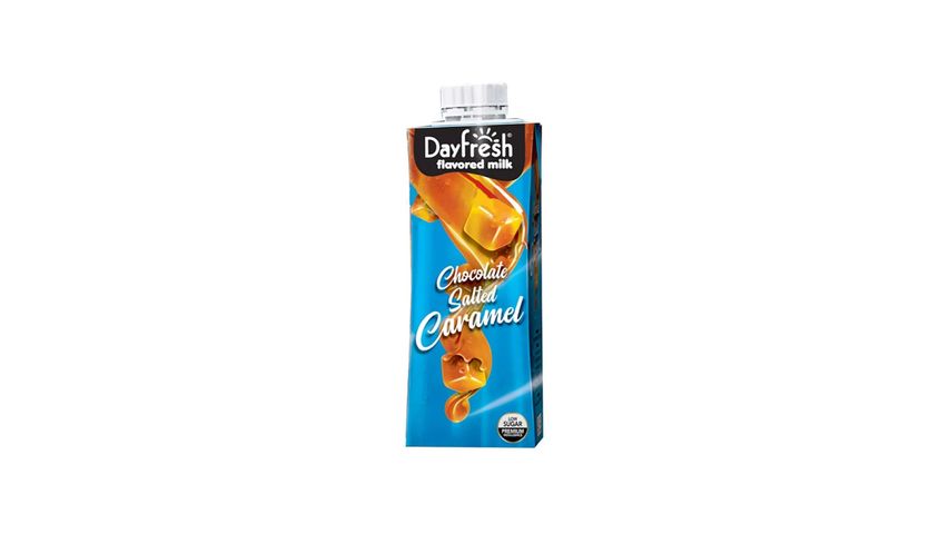 Dayfresh Premium Flavored Milk Salted Caramel 225ml