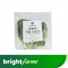 brightfarms Pak Choy Plant (Per Piece)