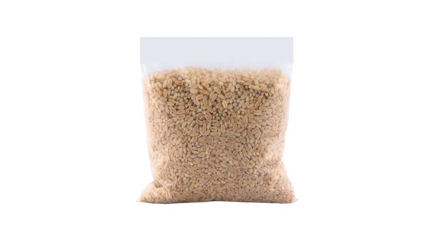Wheat (Gandum) 500g