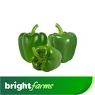 brightfarms Capsicum Green Shimla Mirch (Sindh) 500g
