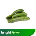 brightfarms Cucumber -Kheera (Pakistan) 500g