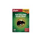 Kingtox Rat Killing Glue Trap
