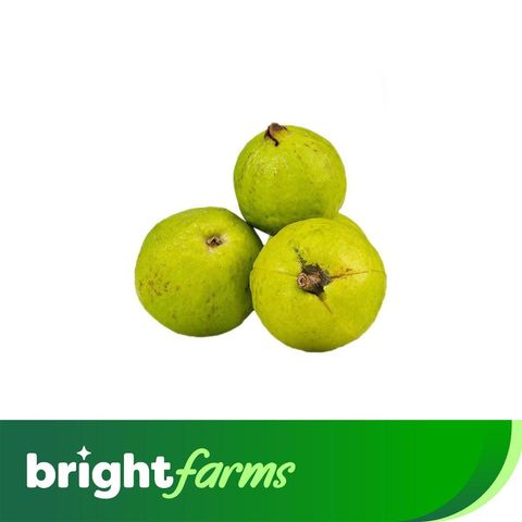 brightfarms Guava Green (Pakistan) 500g