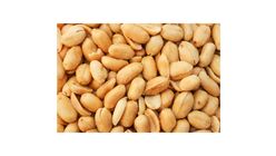 Peanut Salted 100g