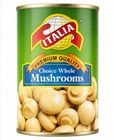 Italia Mushroom Tin 380g
