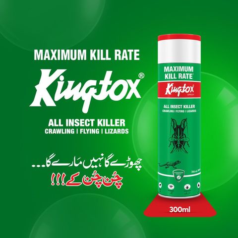 Kingtox All Insect Killer Spray 300ml