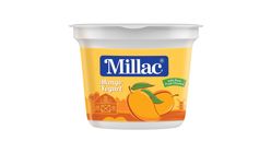 Millac Mango Yogurt 250 gms Cup