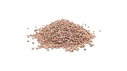 Daal Masoor Whole (Black Masoor) 1kg