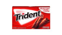 Trident Cinnamon Flavor Gum 27g
