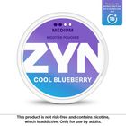 ZYN Cool Blueberry 6mg (2 Dot) Medium Nicotine Pouches 1 Can