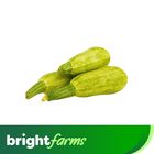 brightfarms Zucchini Kaddu (Pakistan) 500g