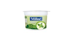 Millac Podina Raita 80 gms Cup