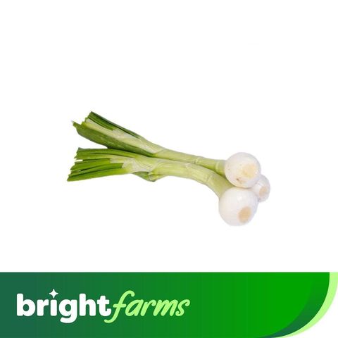Brightfarms Spring Onion (Hari Pyaz) 500g