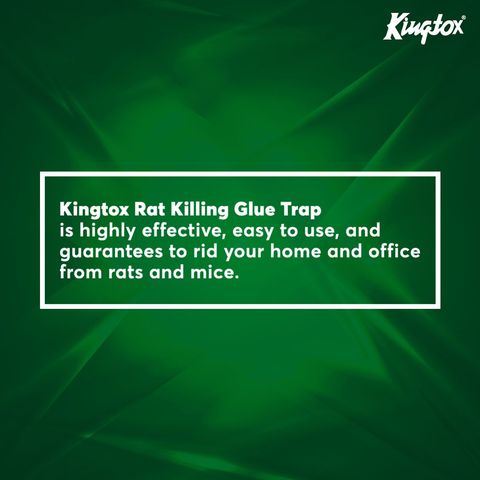 Kingtox Rat Killing Glue Trap