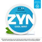 ZYN Cool Mint 6mg (2 Dot) Medium Nicotine Pouches 1 Can