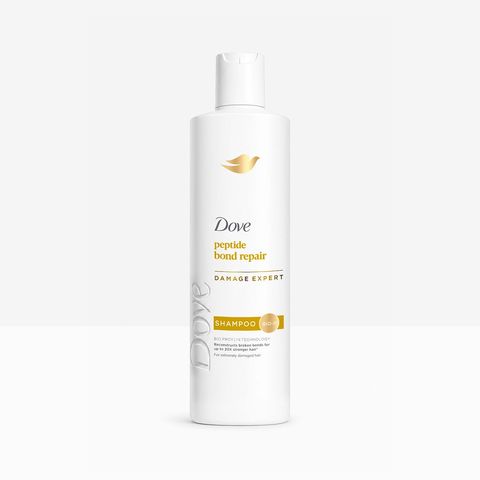 Dove Bond Repair Shampoo 360ml