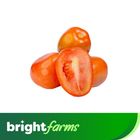 brightfarms Tomato Timatar Red (Pakistan) 1kg
