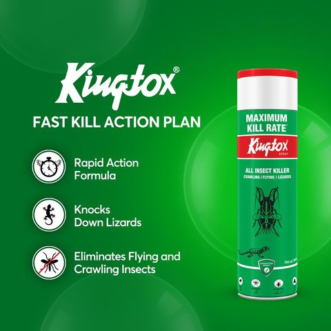 Kingtox All Insect Killer Spray 300ml