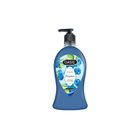 Oasis Hand Wash Berrylicious 500 ml