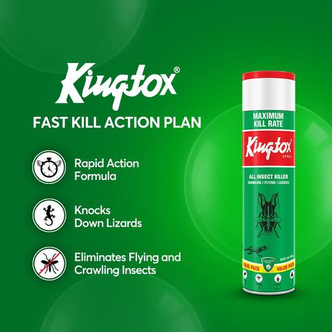 Kingtox All Insect Killer Spray 600ml